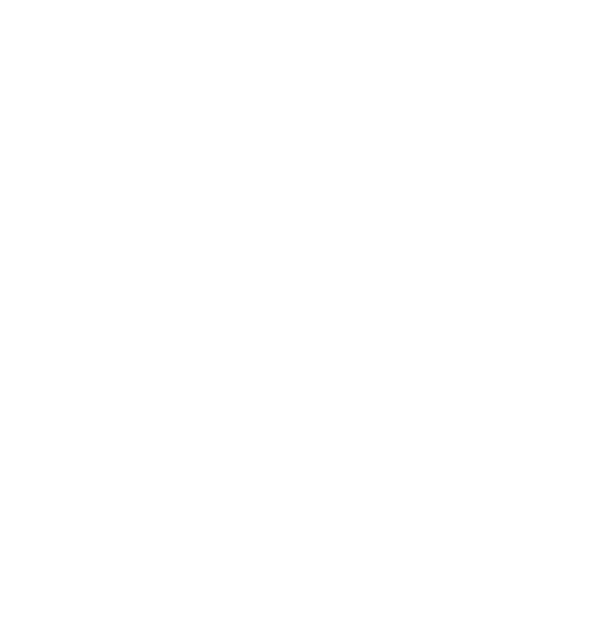 Schematische Darstellung des FI